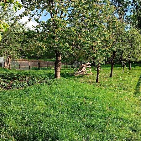 Casa De Vacanta Alina Prundul Birgaului Экстерьер фото