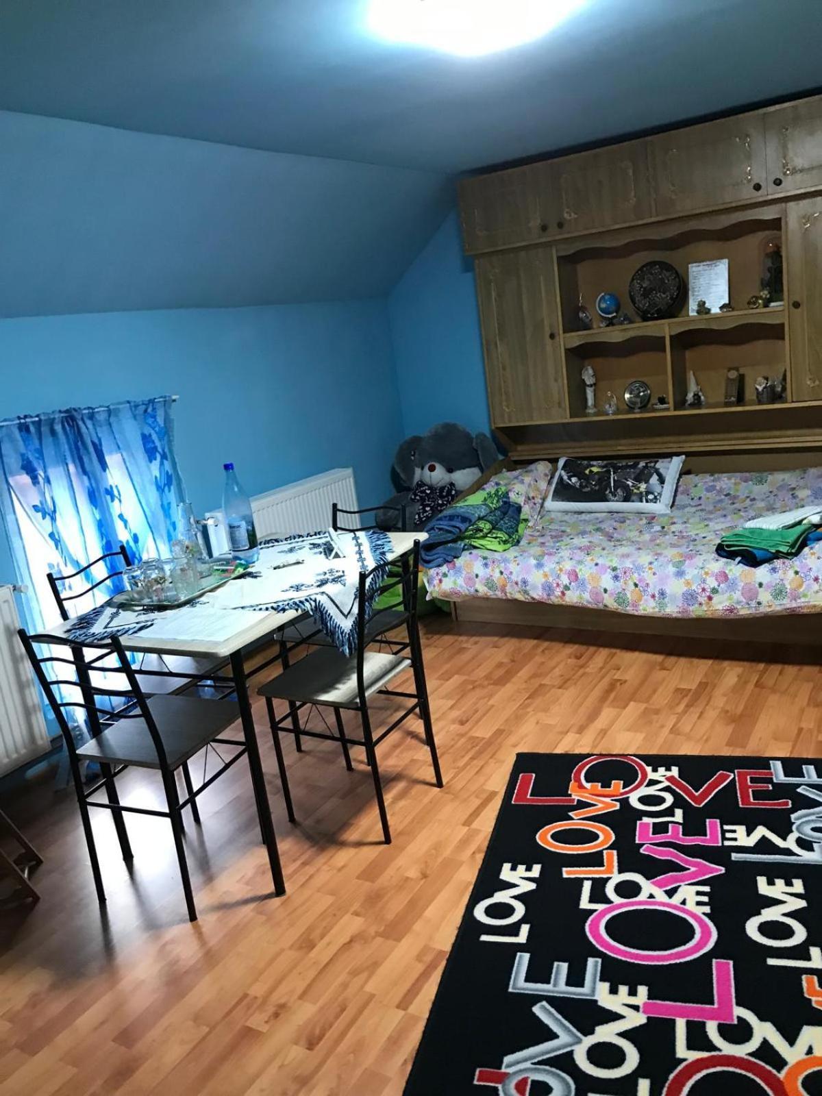 Casa De Vacanta Alina Prundul Birgaului Экстерьер фото